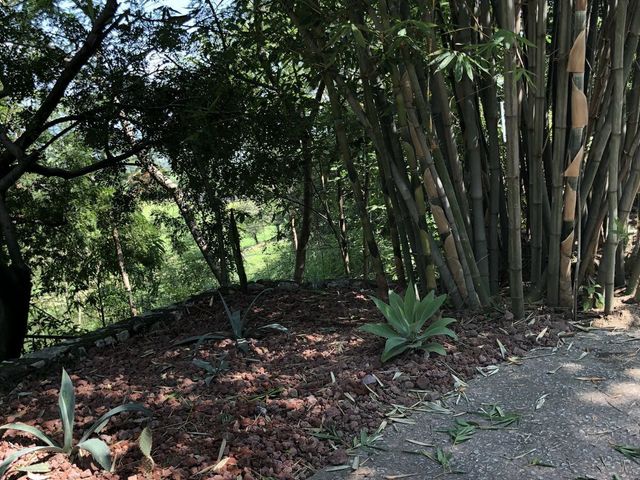 place photo 47