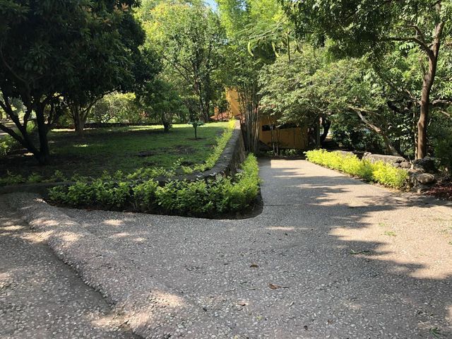 place photo 45