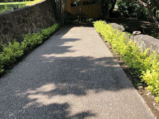 place photo 46