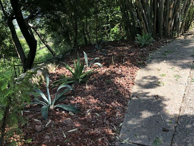 place photo 48
