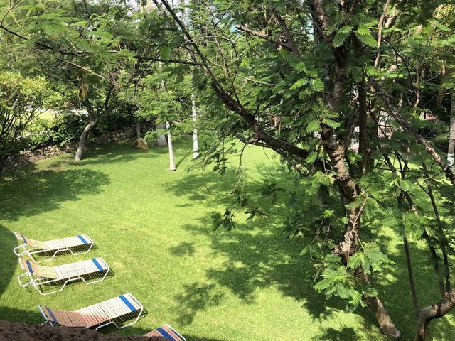 place photo 31