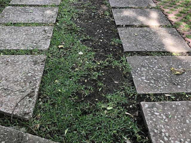 place photo 44