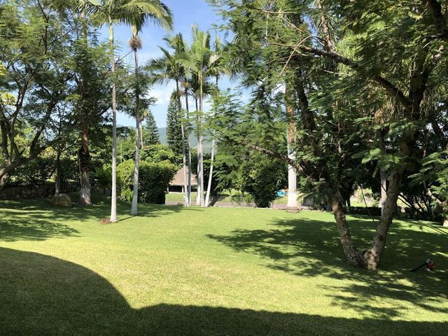 place photo 42