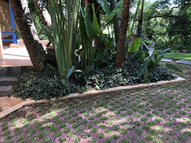 place photo 39