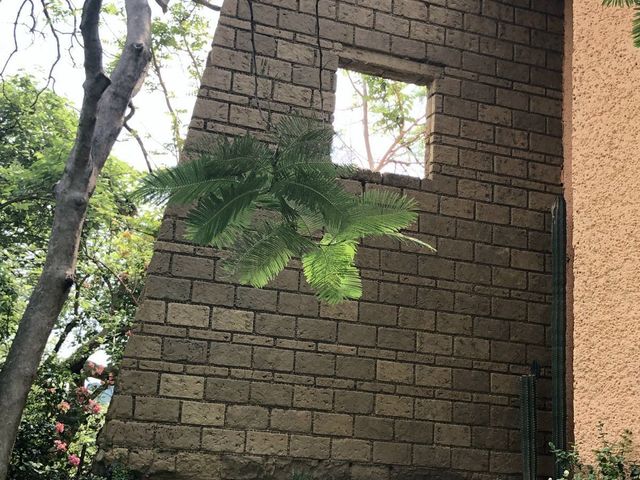 place photo 35