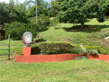 place photo 48