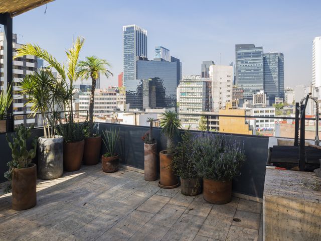 place photo 29