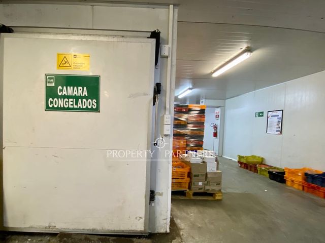 place photo 24
