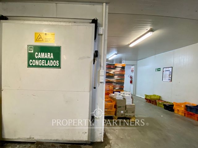 place photo 24