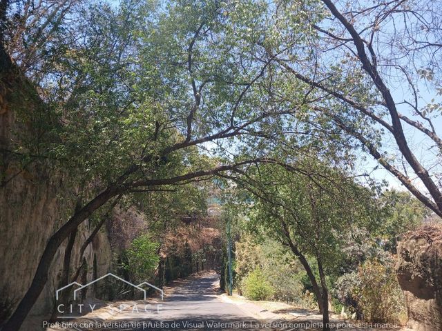 place photo 26