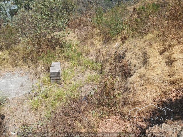 place photo 32