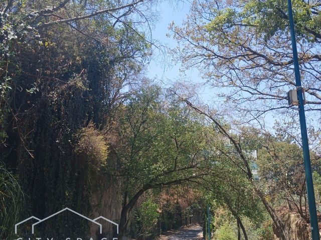 place photo 25