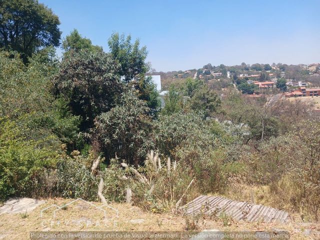 place photo 31