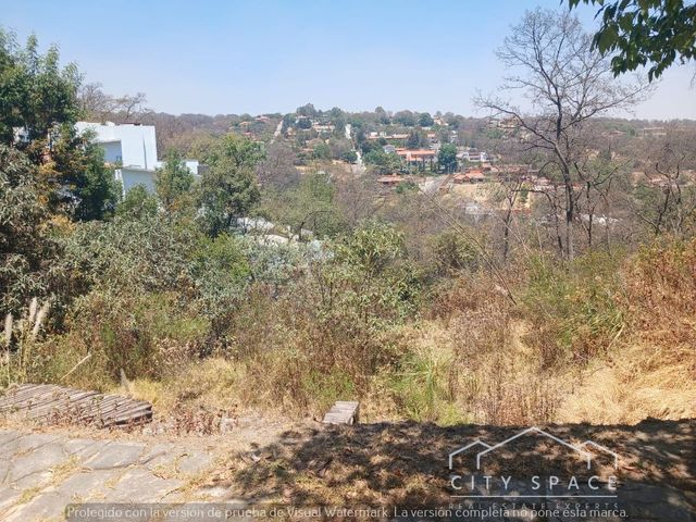 place photo 21