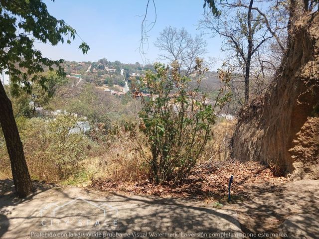 place photo 28