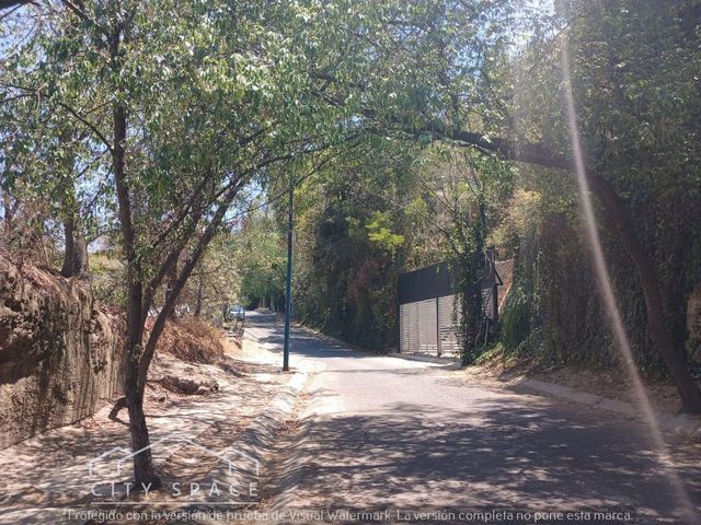place photo 37