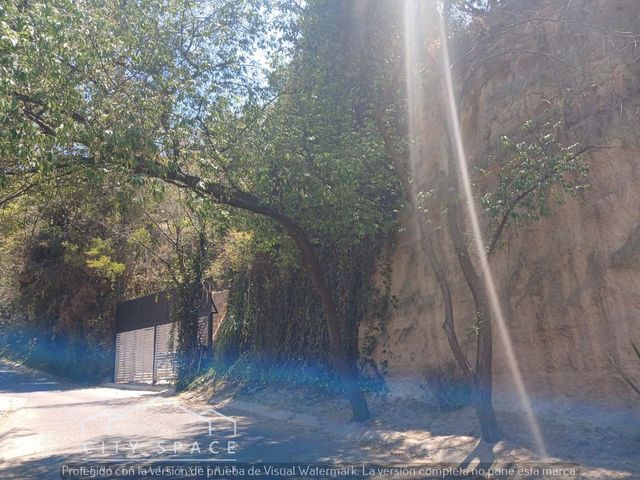 place photo 36
