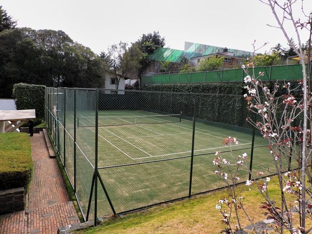place photo 22