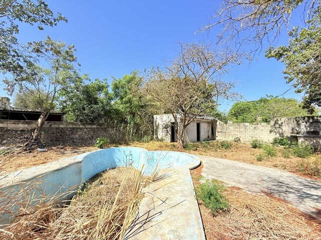 place photo 14