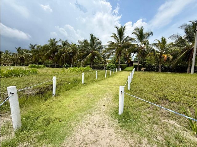 place photo 42