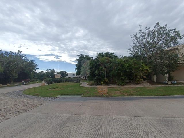 place photo 26