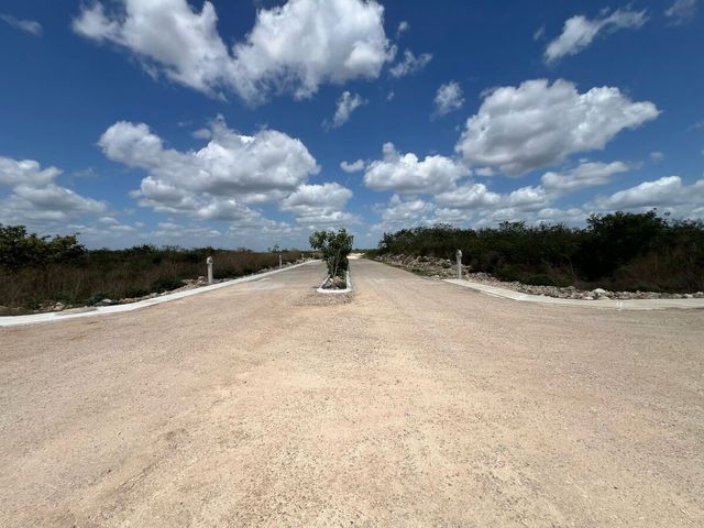 place photo 22