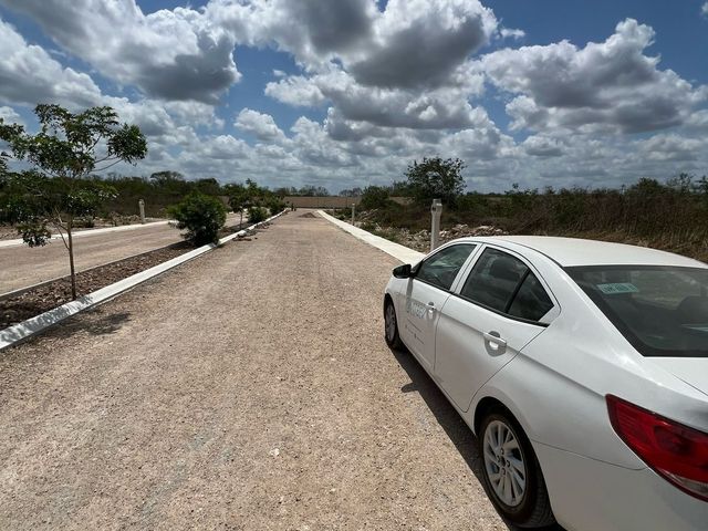 place photo 23
