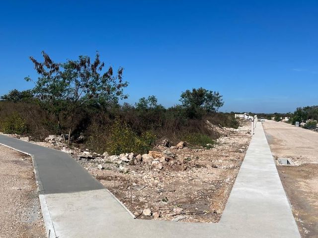 place photo 25