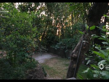 place photo 46