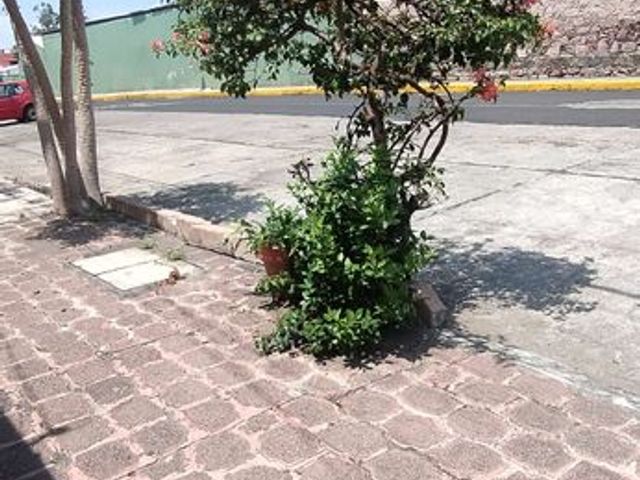 place photo 22
