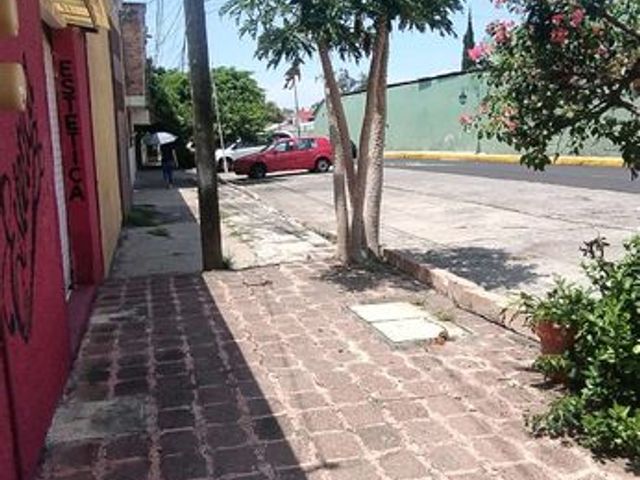 place photo 20