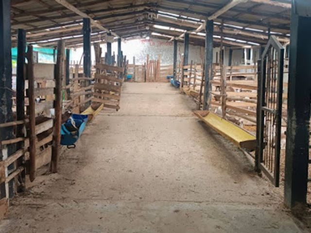 place photo 24