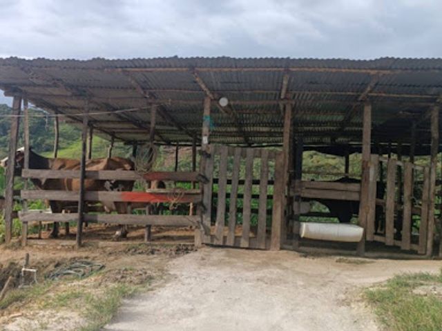 place photo 26
