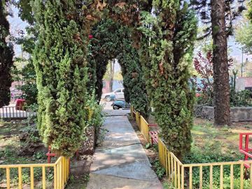 place photo 18