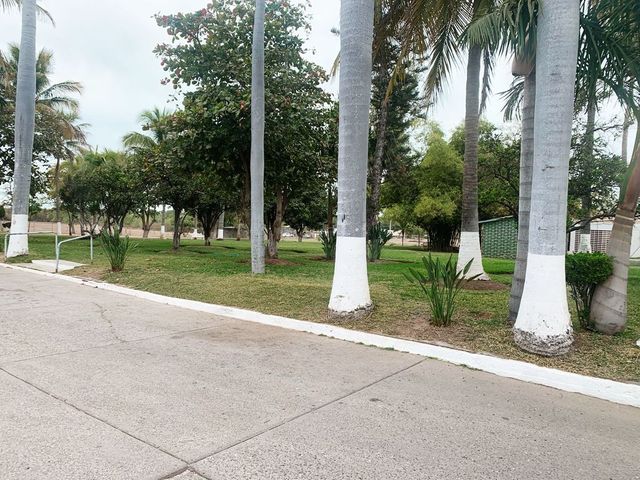 place photo 25