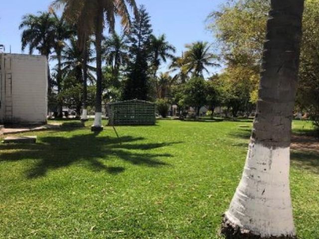 place photo 20