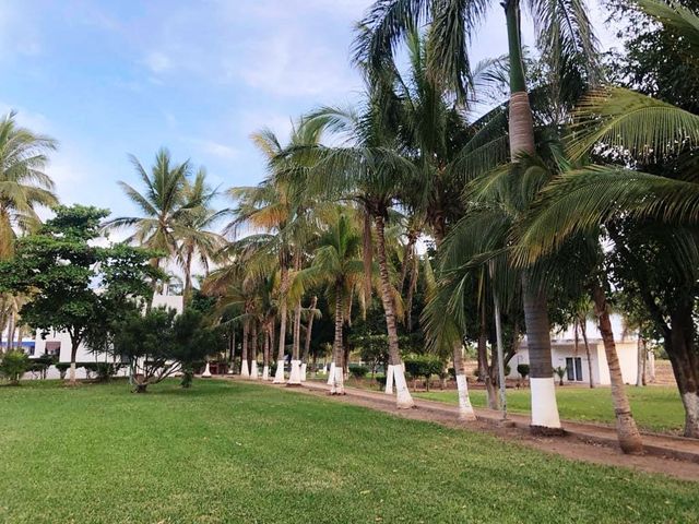 place photo 33