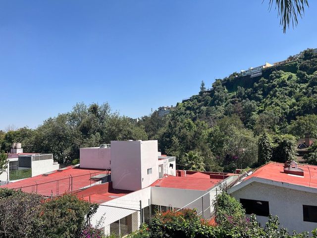place photo 24