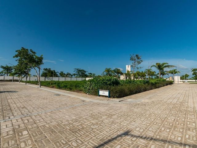 place photo 31