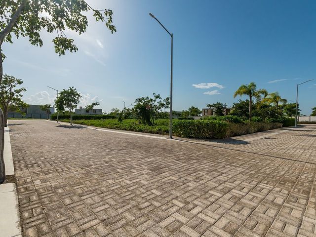 place photo 32