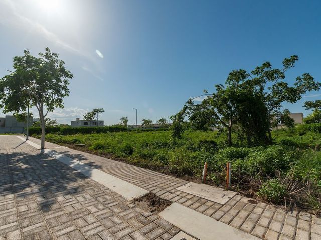 place photo 33
