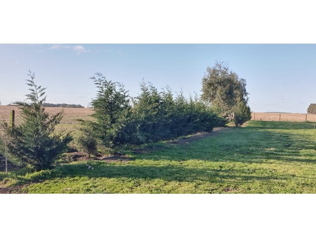 place photo 4