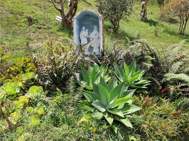 place photo 41