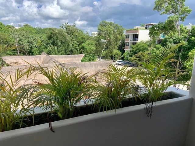 place photo 46
