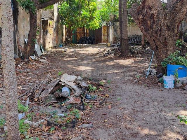 place photo 7