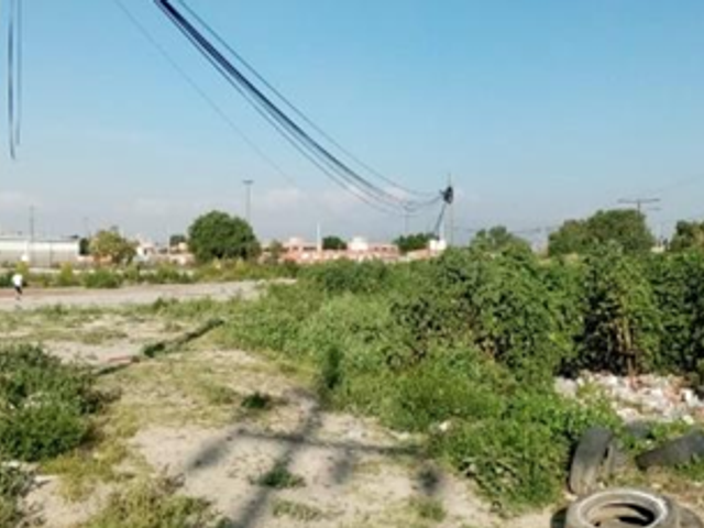 place photo 13