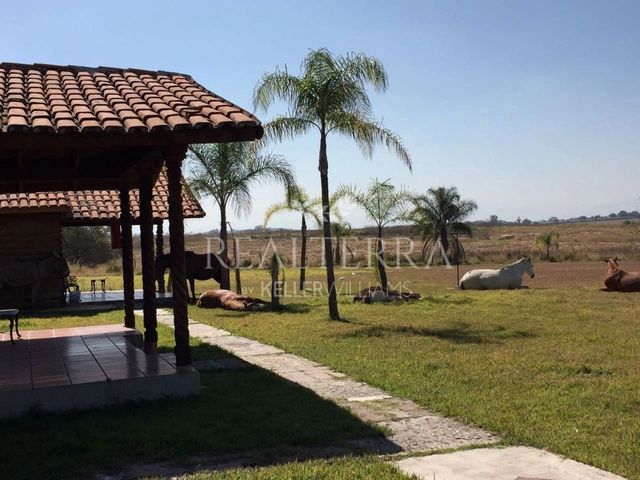place photo 27