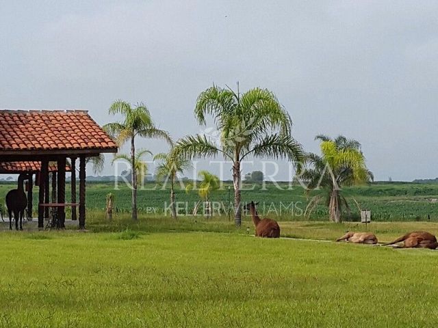 place photo 26