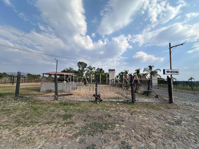place photo 12