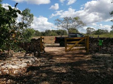 place photo 13